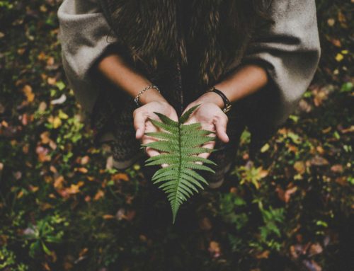 The Healing Benefits Of Forest Bathing: How Nature Therapy Can Boost Your Energy